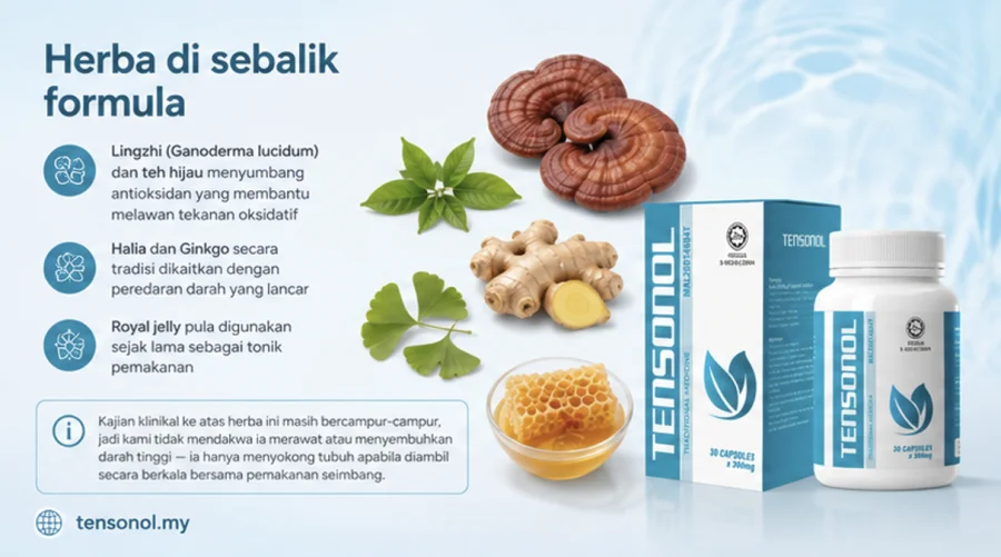 Ekstrak herba dalam formula Tensonol