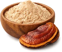Ekstrak Miselium Ganoderma Lucidum (Lingzhi) dalam Tensonol