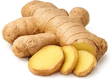 Rizom halia Zingiber Officinale dalam Tensonol